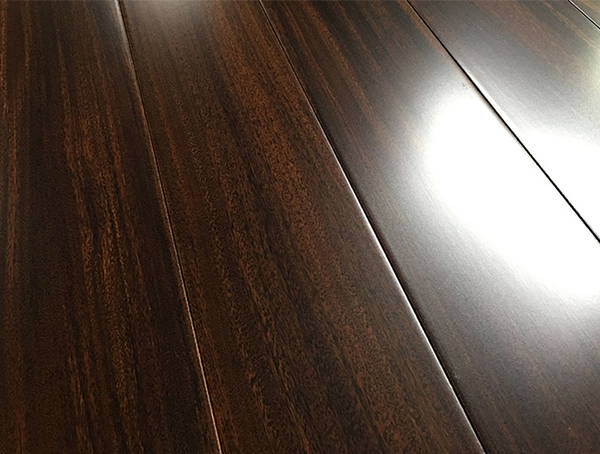 直铺圆盘豆ZP8006