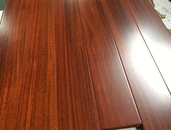 直铺圆盘豆ZP1202