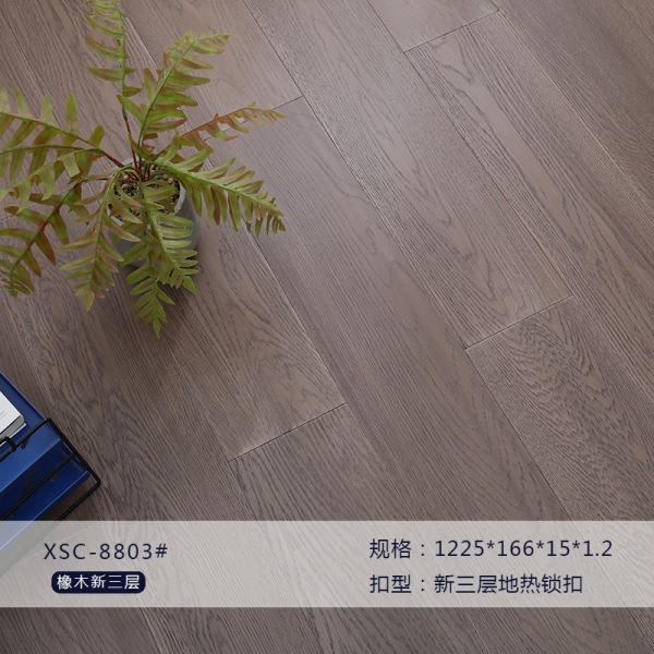 XSC8803